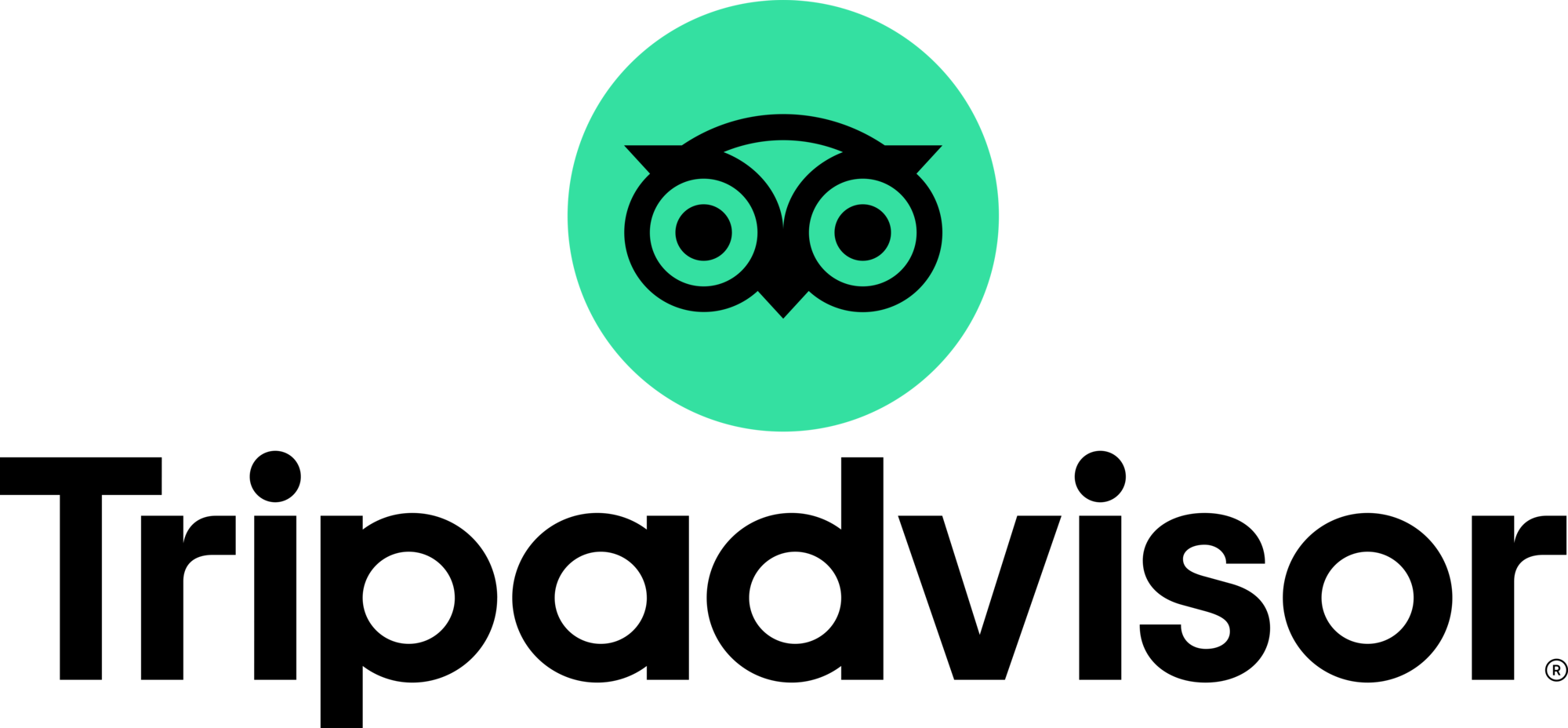 tripadvisor-logo