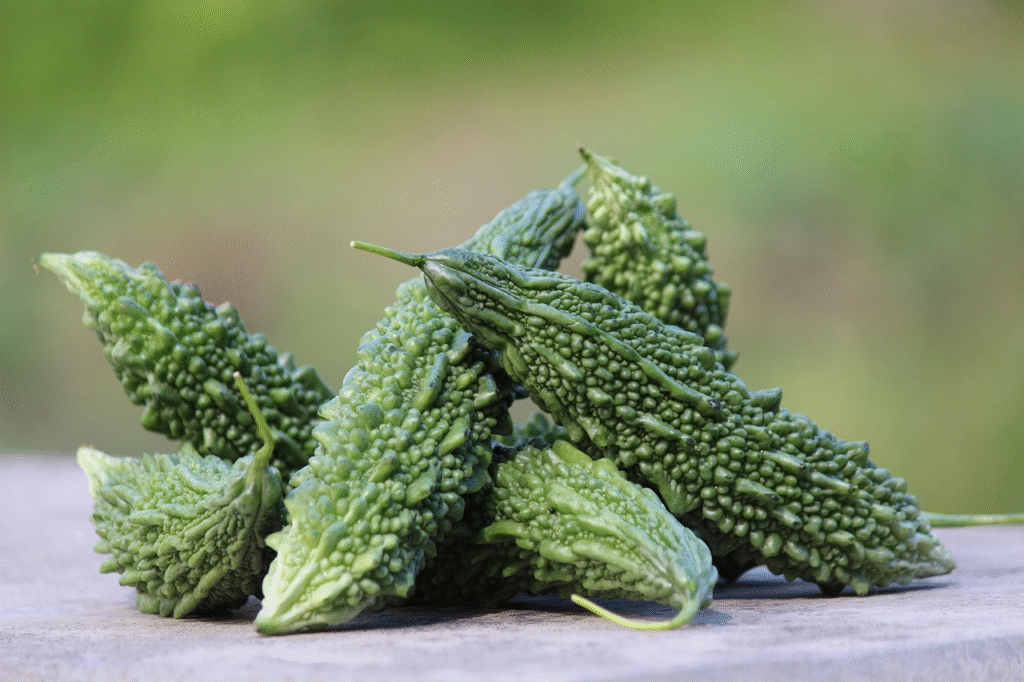 Bitter gourd (karela), a distinctive green vegetable with a bumpy, ridged skin, showcasing the resilient produce of the desert region.
